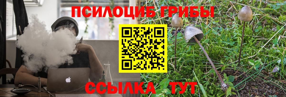 Вышний Волочёк  Галлюциногенные грибы Magic Shrooms  Вход с VPN  Псилоцибиновые грибы мицелий 